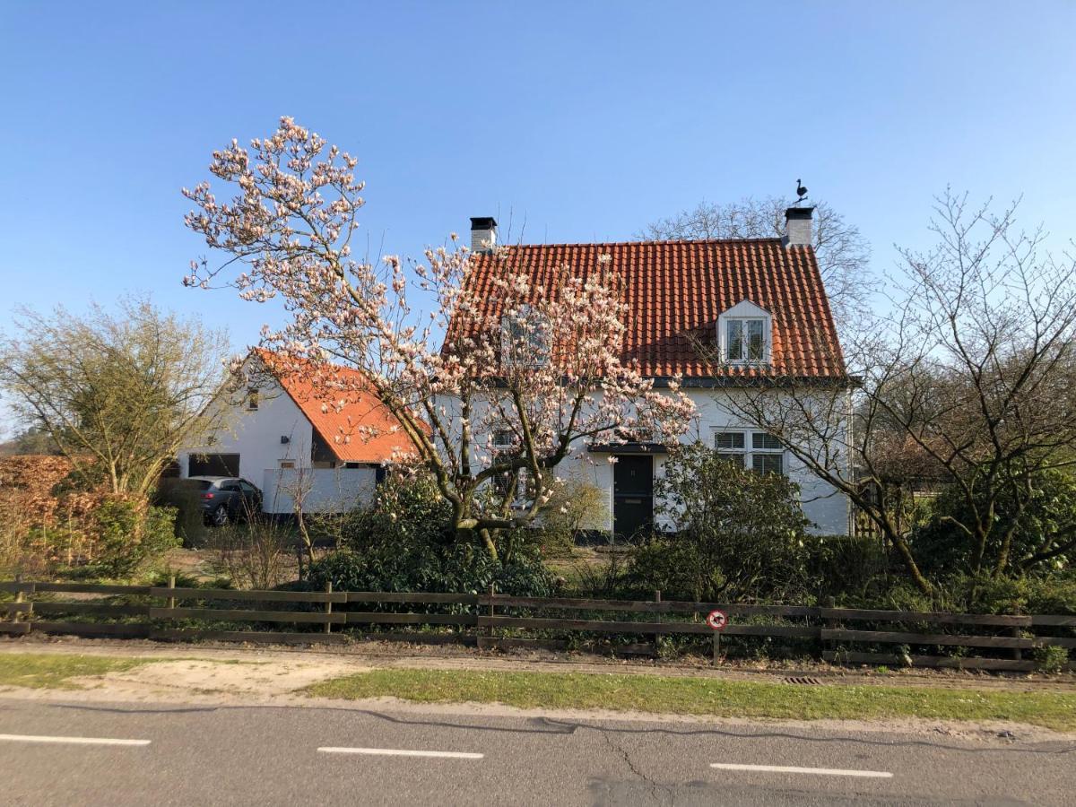 Bed and Breakfast Horse And Hound Riethoven Esterno foto