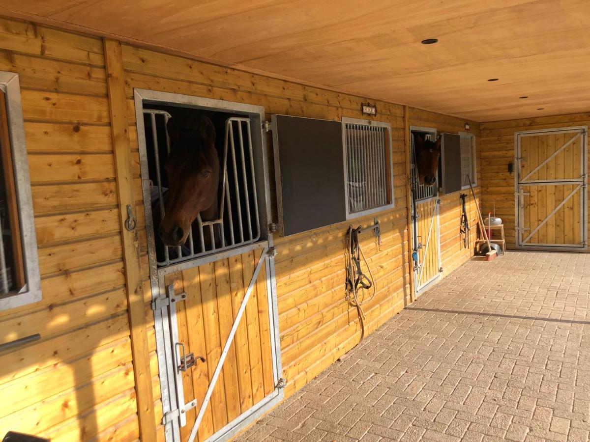 Bed and Breakfast Horse And Hound Riethoven Esterno foto
