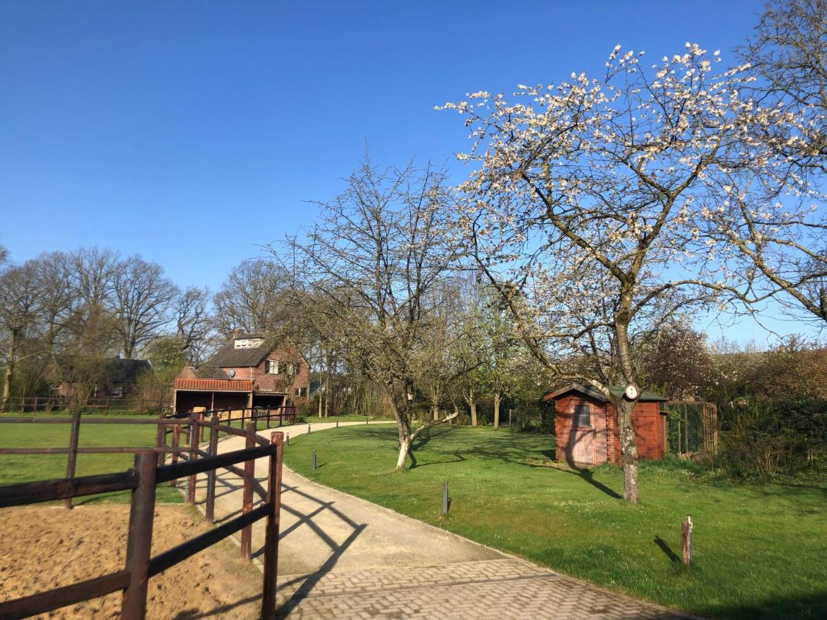 Bed and Breakfast Horse And Hound Riethoven Esterno foto