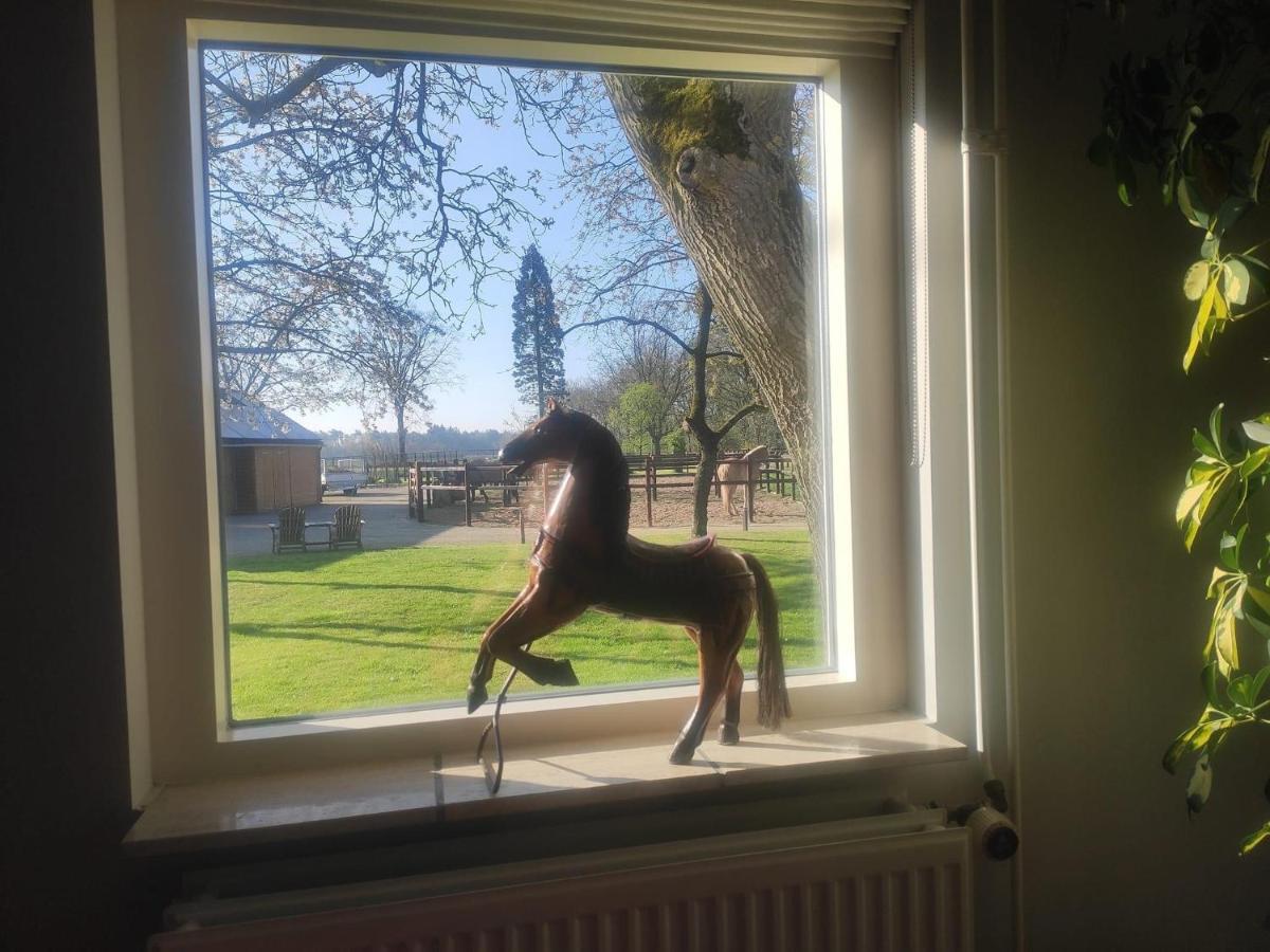 Bed and Breakfast Horse And Hound Riethoven Esterno foto