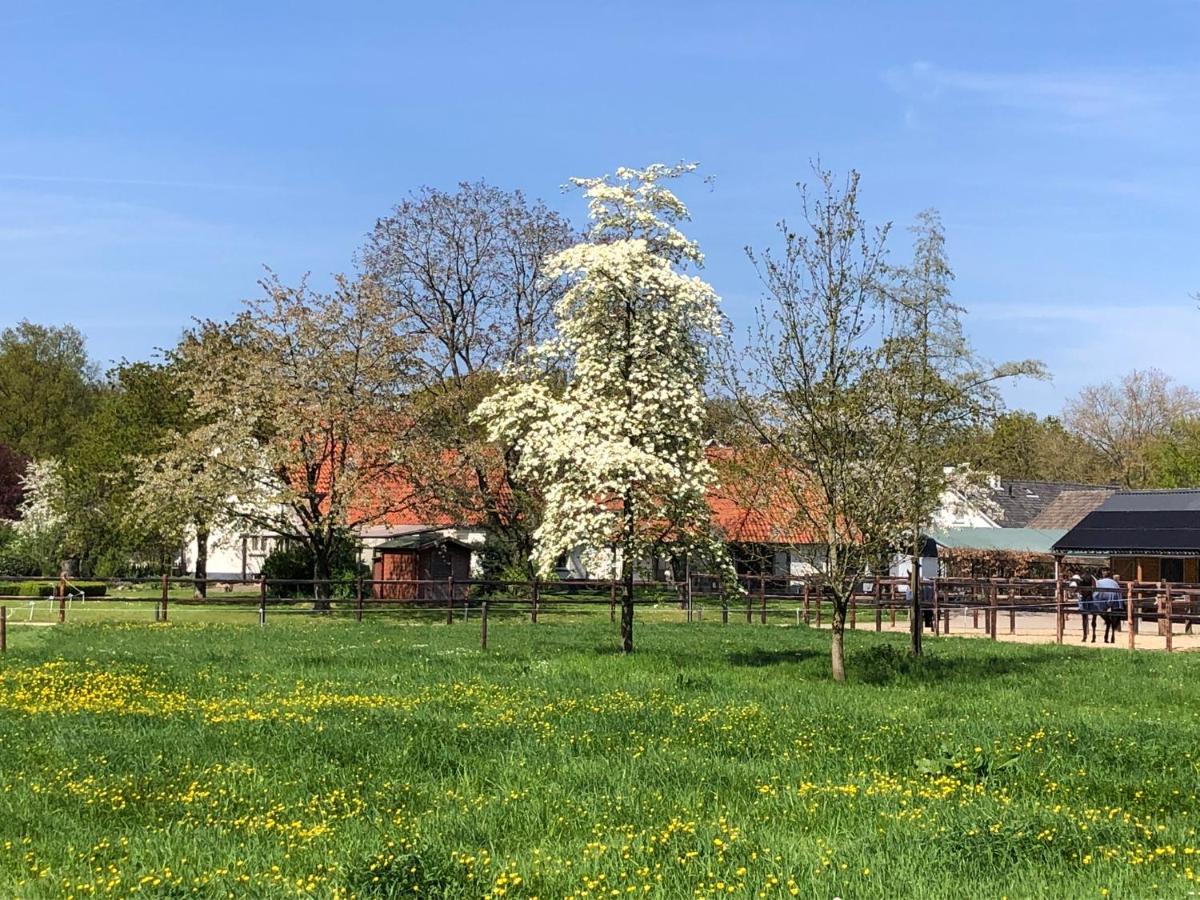 Bed and Breakfast Horse And Hound Riethoven Esterno foto