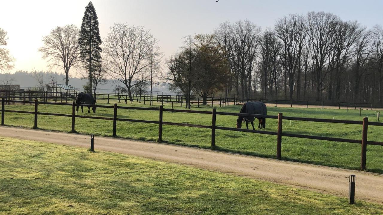 Bed and Breakfast Horse And Hound Riethoven Esterno foto