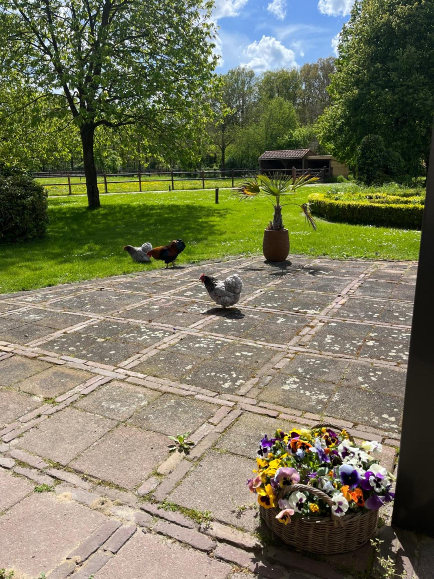 Bed and Breakfast Horse And Hound Riethoven Esterno foto
